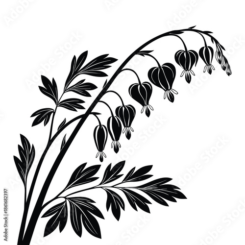 Bleeding heart flower silhouette black and white floral branch design botanical element for nature pattern vector
