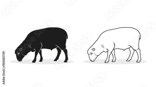 Two sheep depictions a solid black silhouette and a white outline version