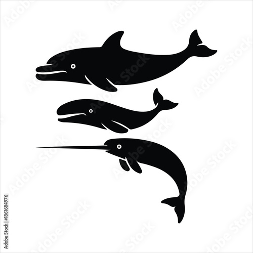 silhouette of a dolphin