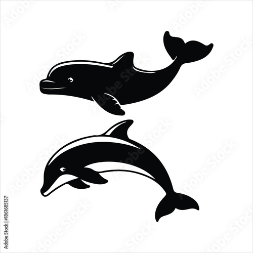 dolphin isolated on white background