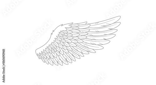 Detailed line drawing of a single angel wing with intricate feather design and elegant curves