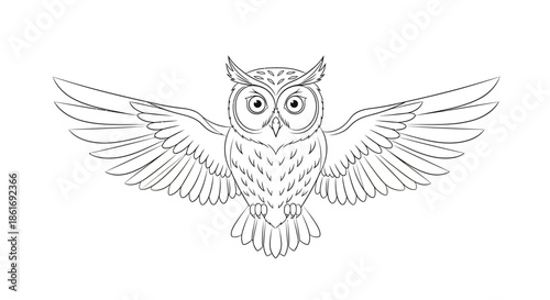 Detailed black and white line drawing of an owl with wings spread wide showcasing feathers and
