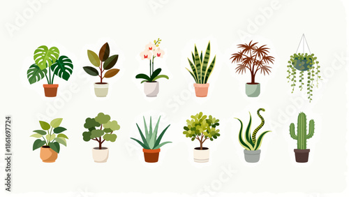 Potted plants collection