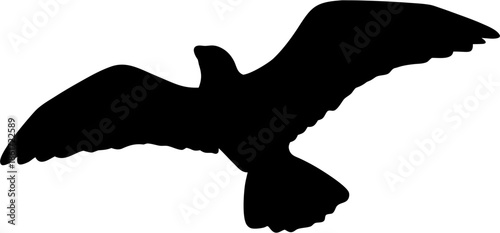 Young professional working diligently at modern office desk