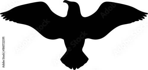 Confident businesswoman working at modern office desk with laptop