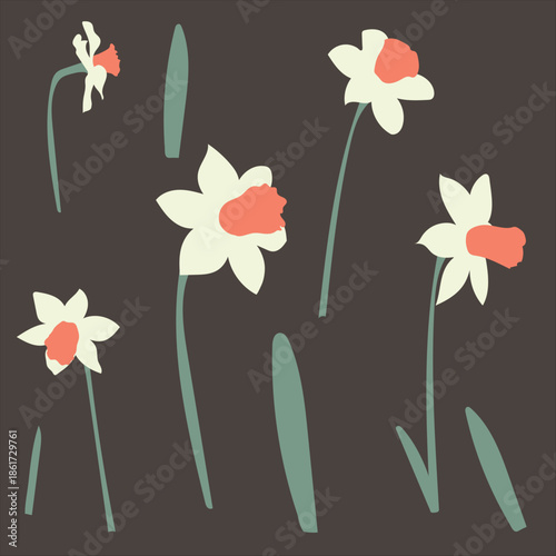 Set of narcissus with buds and leaves for banner postcards. Vector illustration for your design