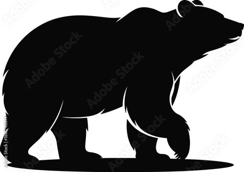 Bear silhouette illustration, wild animal profile, powerful grizzly walking, nature wildlife icon, black vector art isolated white background design graphic