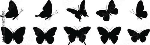 Butterfly silhouettes collection, flying insects shapes, elegant nature icons, black vector illustration set isolated white background design art, minimal, decorative