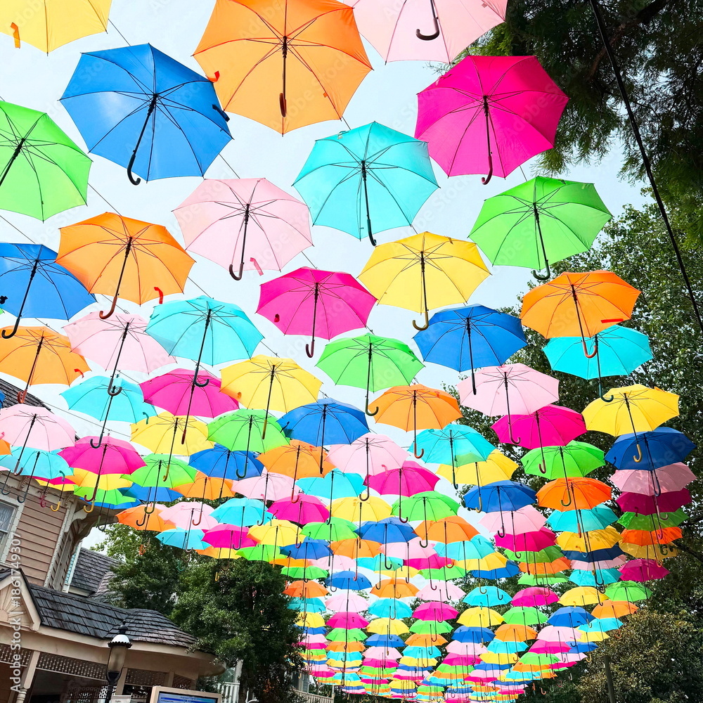 Obraz premium Colorful umbrellas at Dollywood