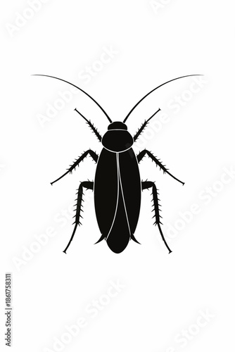 Black Silhouette of Cockroach Insect Top View