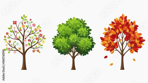 Seasonal tree illustrations in full bloom and change