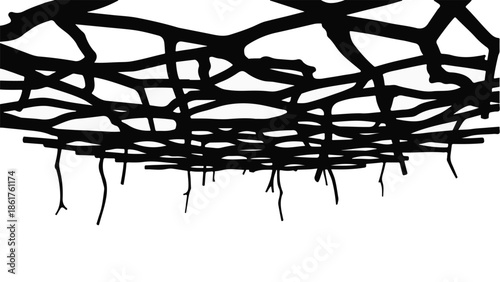 Intricate network of dark branches against a bright white sky, creating a dramatic, abstract pattern.