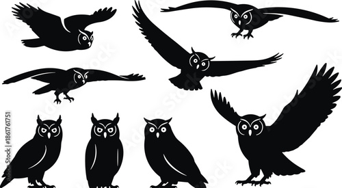 Owl silhouettes collection, flying and standing owls poses, nocturnal bird wildlife illustration, black vector icons isolated on white background