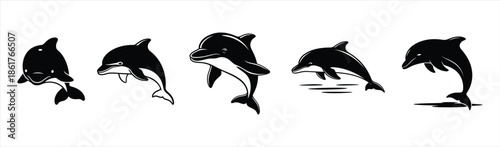 Dolphin Illustrations A Collection of Playful Marine Mammal Silhouettes