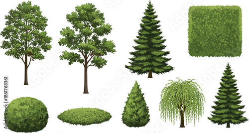 Garden trees and shrubs flat vector illustration set, evergreen conifer bushes collection isolated nature elements for landscape design