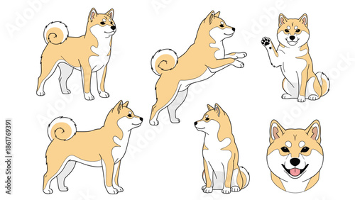 Detailed Shiba Inu dog illustration set showing the breed in various poses including standing jumping sitting and waving.