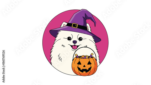 Adorable white Pomeranian dog dressed as a witch for Halloween with a purple hat and a pumpkin candy bucket for children.