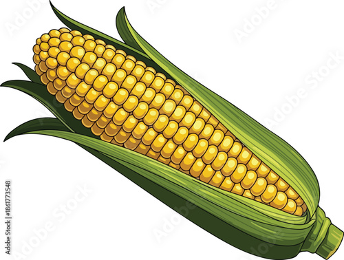  Corn Vegetable with Leaves for Food Design - corn, maize, vegetable, cob, food, vector, illustration, fresh, yellow, green, husk, leaf, agriculture, farm, harvest, 
