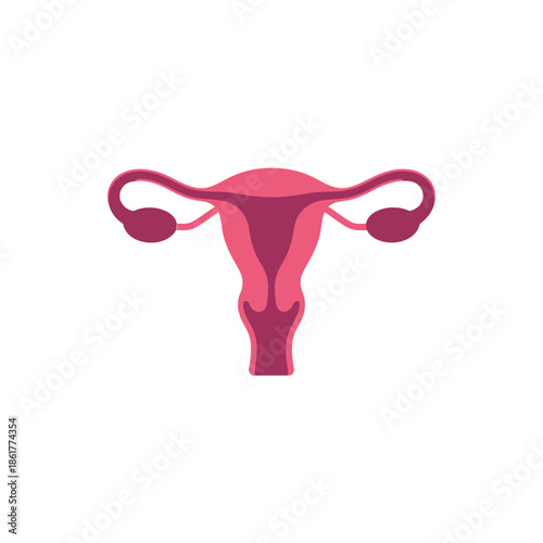 Simplified illustration of a human uterus and fallopian tubes pink tone