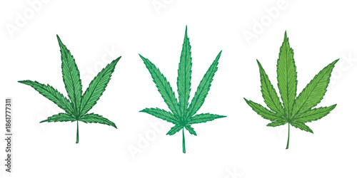 Set of hand drawn cannabis leaf Medicine marijuana Hemp leaves clipart in doodle style Single element for print, web, design, decor