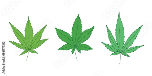 Set of hand drawn cannabis leaf Medicine marijuana Hemp leaves clipart in doodle style Single element for print, web, design, decor
