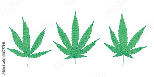 Set of hand drawn cannabis leaf Medicine marijuana Hemp leaves clipart in doodle style Single element for print, web, design, decor