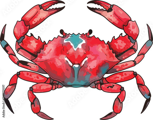 Crab