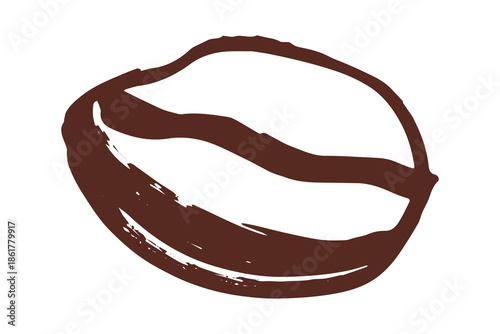 Hand drawn fresh roasted coffee bean Arabica robusta seed doodle Single element for print, web, design, decor