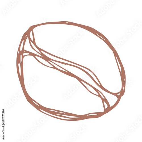 Hand drawn fresh roasted coffee bean Arabica robusta seed doodle Single element for print, web, design, decor