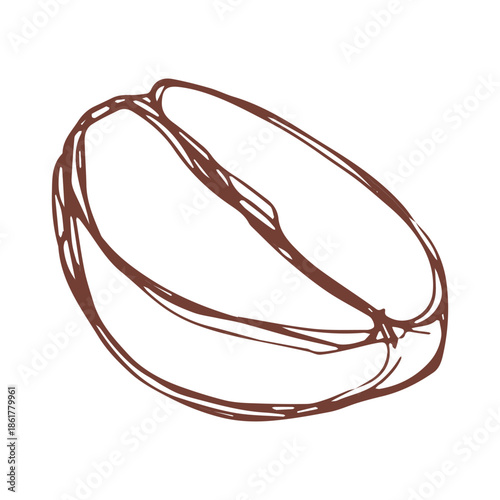 Hand drawn fresh roasted coffee bean Arabica robusta seed doodle Single element for print, web, design, decor