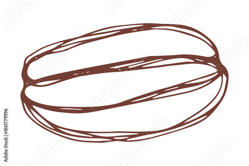 Hand drawn fresh roasted coffee bean Arabica robusta seed doodle Single element for print, web, design, decor