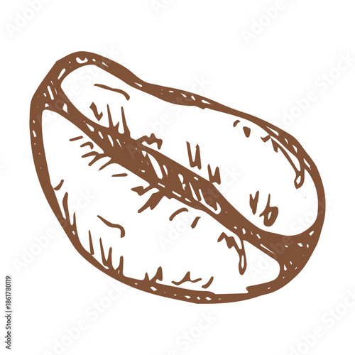 Hand drawn fresh roasted coffee bean Arabica robusta seed doodle Single element for print, web, design, decor