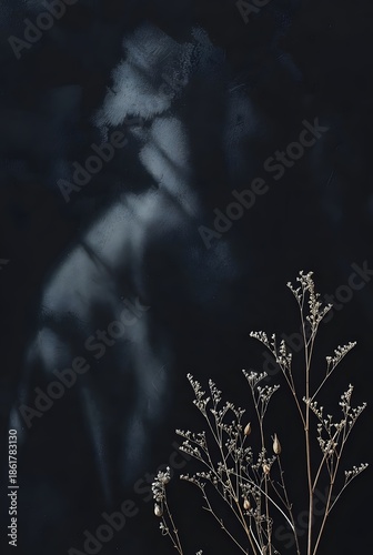Ethereal shadow and light play on dark wall behind delicate dried stems in minimal setting
