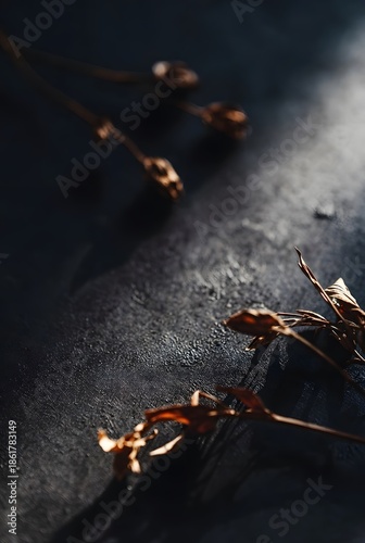 Macro photography of golden dried flower stems on dark textured background with moody light