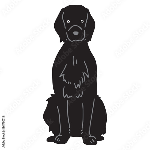 犬　手書きイラスト　フラットコーテッドレトリーバー