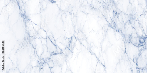 A close up view of a white marble surface with delicate blue veining throughout its natural stone texture