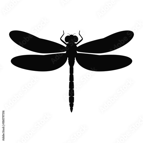 Dragonfly head close-up Vector, Silhouette, Illustration