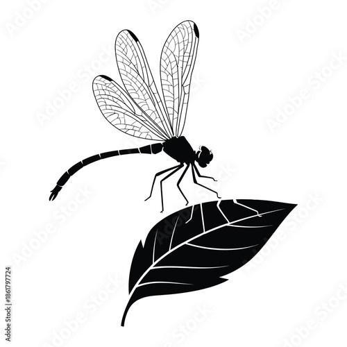 Dragonfly perched on leaf Vector, Silhouette, Illustration