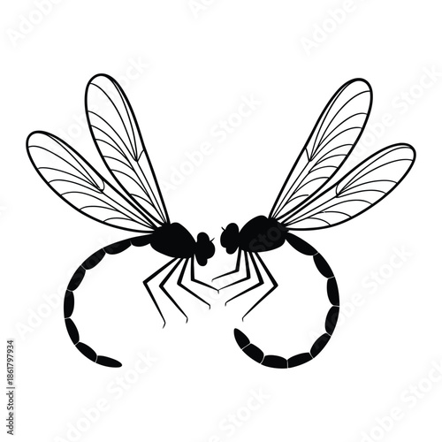 Pair of dragonflies together Vector, Silhouette, Illustration
