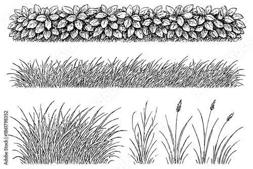set of grass,
Set of Forest Line CAD, Minimal Ground Cover & Grass Section for Architectural Elevations