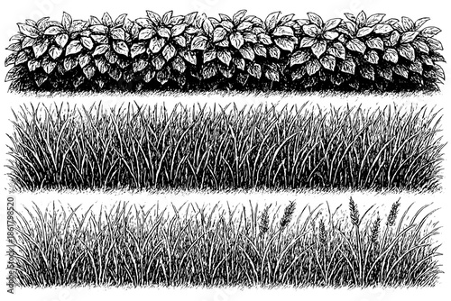 set of grass,
Minimal Forest Line CAD Set, Ground Cover & Grass Section Illustration
