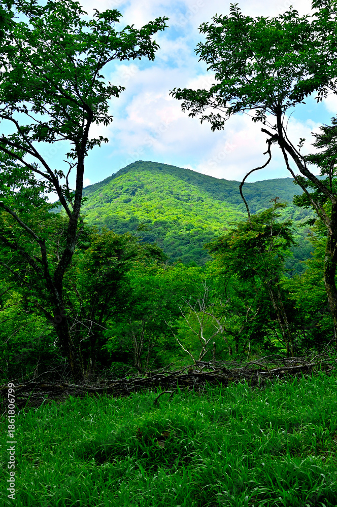 Obraz premium 丹沢山地の高指山より 夏の大岩を眺める 