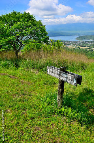 丹沢山地の甲相国境尾根　高指山山頂より望む富士山　マユミ
