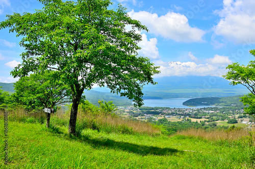 丹沢山地の甲相国境尾根　高指山山頂のマユミの木と富士山
