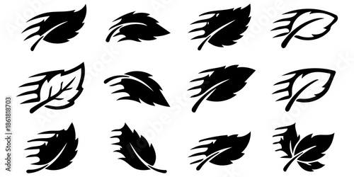 Collection of elegant feather icons in black and white