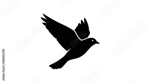 Silhouette of a bird in mid flight with wings spread wide