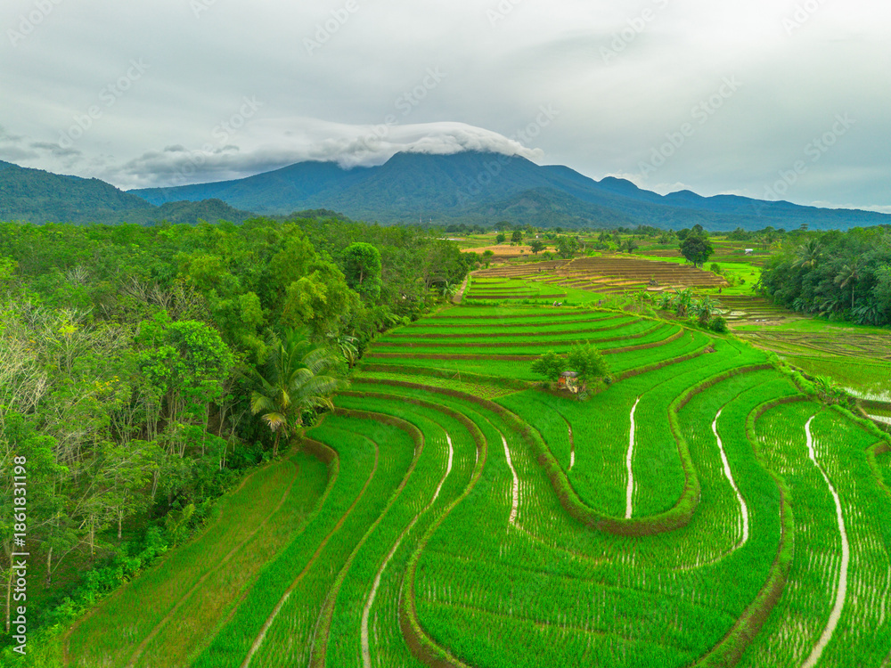 Fototapeta premium Beautiful morning view in Indonesia, panoramic landscape of rice fields with mountain ranges and clear sky