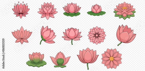 Set of various pink lotus flower illustrations with different shapes and stages of bloom.