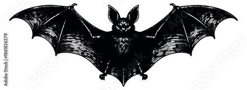 Hand drawn line art illustration of a bat depicting outstretched wings for halloween and gothic themes