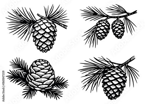 Hand drawn line art pine cone set featuring cones on evergreen branches for winter and holiday designs